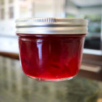 Plum Special Jam - Pomona's Universal Pectin - Sugar Free No